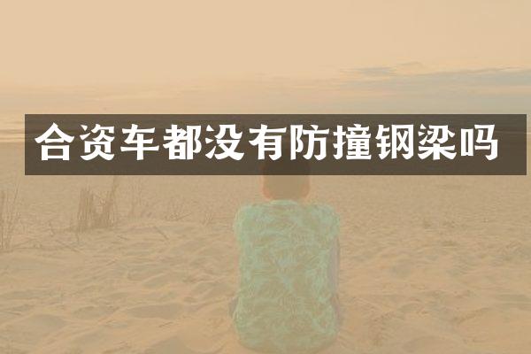 合资车都没有防撞钢梁吗