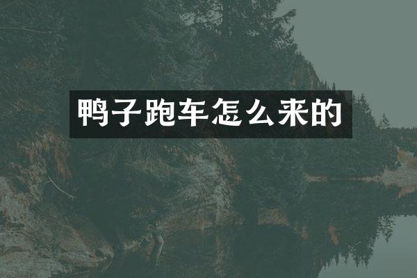 鸭子跑车怎么来的