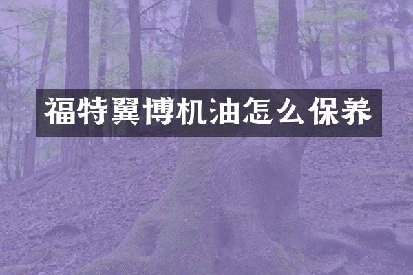 福特翼博机油怎么保养