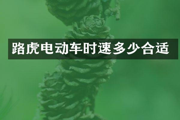 路虎电动车时速多少合适