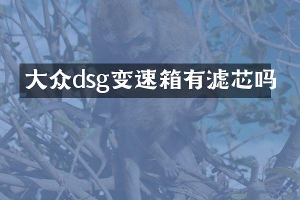 大众dsg变速箱有滤芯吗