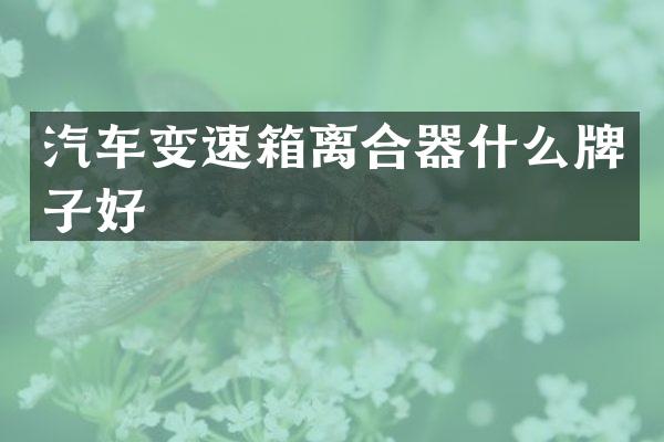 汽车变速箱离合器什么牌子好