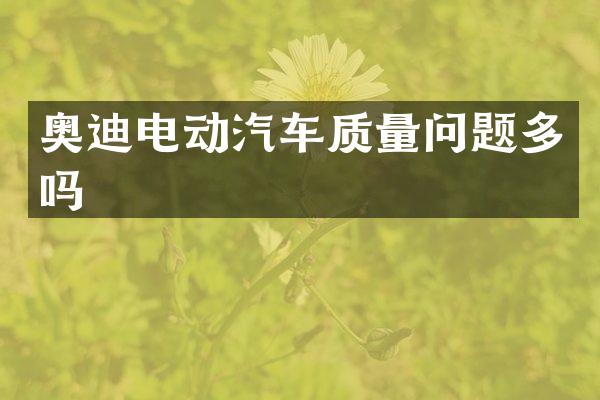 奥迪电动汽车质量问题多吗