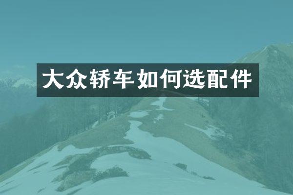 大众轿车如何选配件