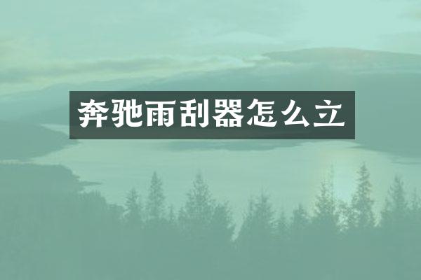 奔驰雨刮器怎么立