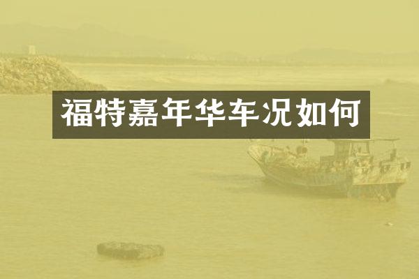 福特嘉年华车况如何