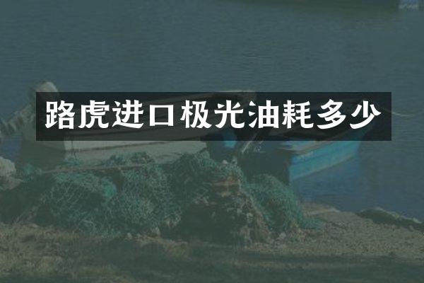 路虎进口极光油耗多少