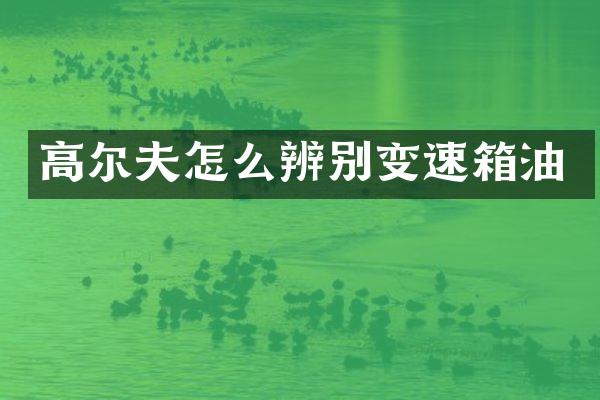 高尔夫怎么辨别变速箱油