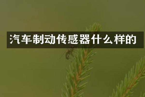 汽车制动传感器什么样的