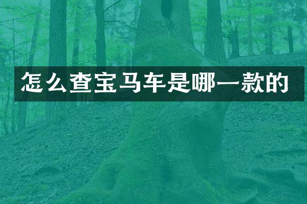 怎么查宝马车是哪一款的
