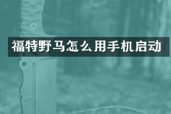 福特野马怎么用手机启动