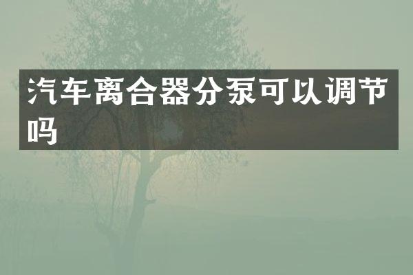 汽车离合器分泵可以调节吗