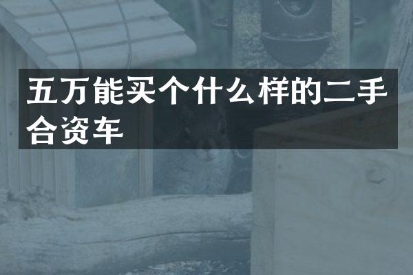 五万能买个什么样的二手合资车