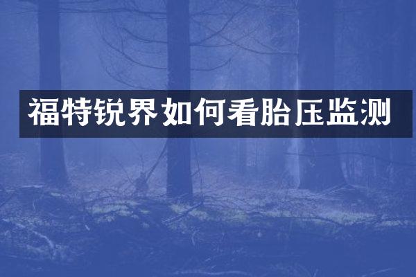 福特锐界如何看胎压监测