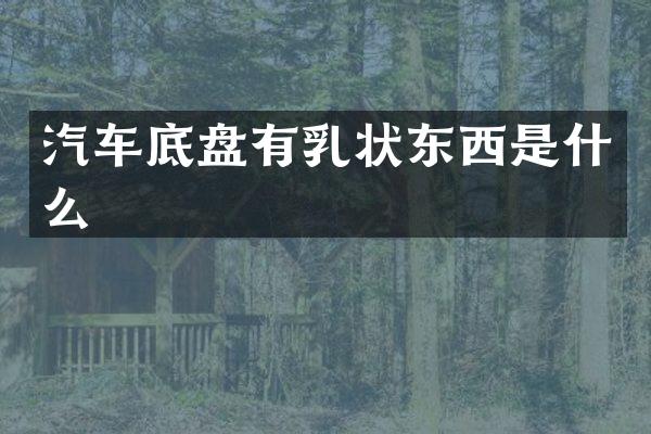 汽车底盘有乳状东西是什么