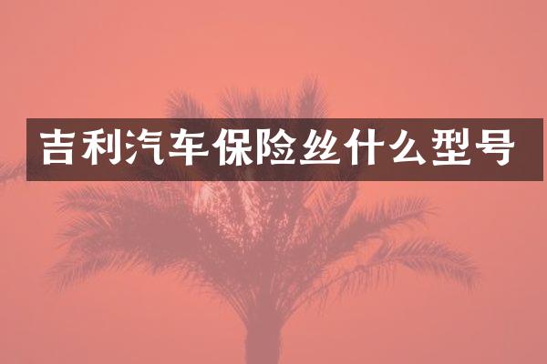 吉利汽车保险丝什么型号
