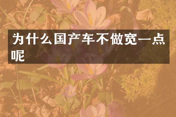 为什么国产车不做宽一点呢