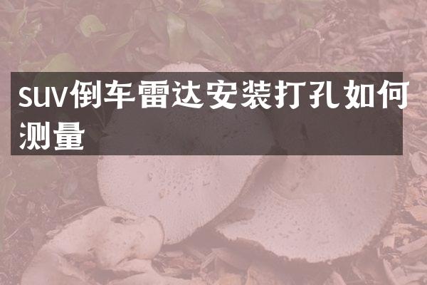 suv倒车雷达安装打孔如何测量
