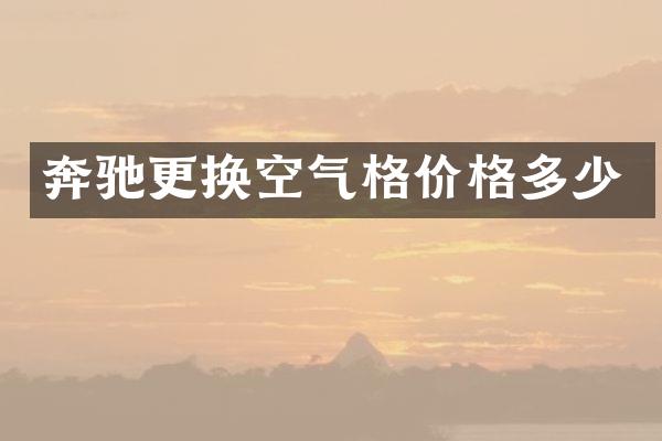 奔驰更换空气格价格多少