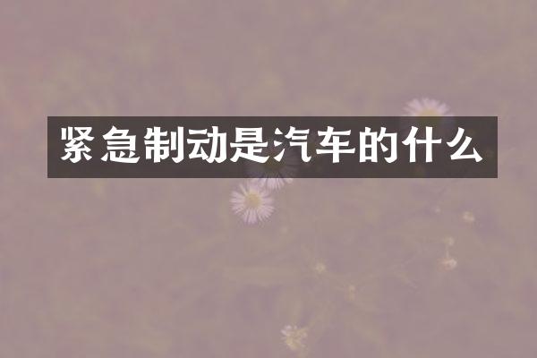 紧急制动是汽车的什么