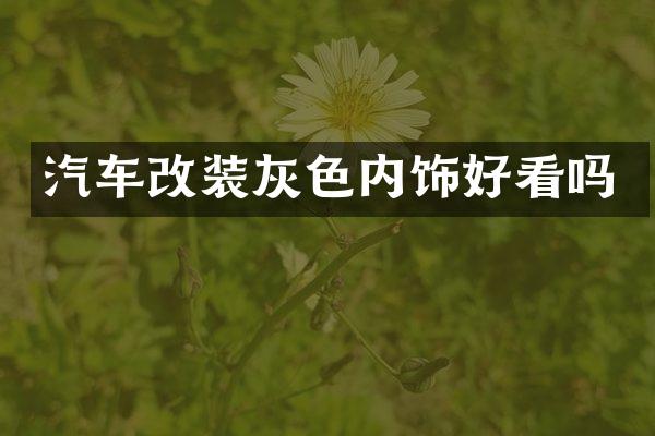 汽车改装灰色内饰好看吗
