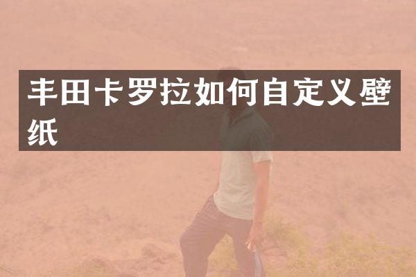 丰田卡罗拉如何自定义壁纸