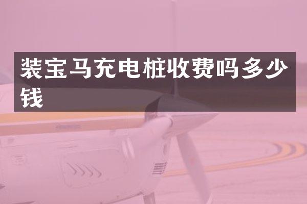 装宝马充电桩收费吗多少钱