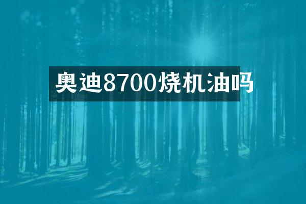 奥迪8700烧机油吗