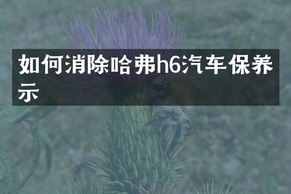 如何消除哈弗h6汽车保养提示