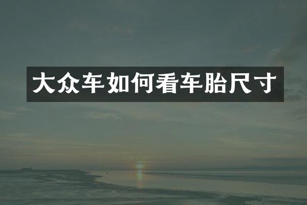 大众车如何看车胎尺寸
