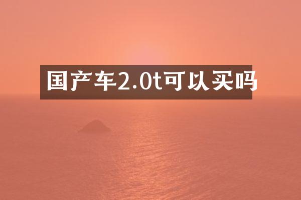 国产车2.0t可以买吗