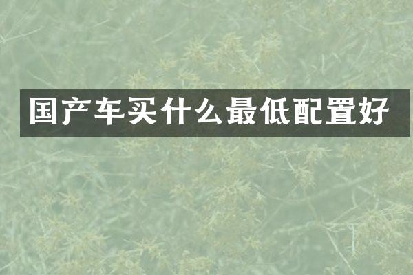 国产车买什么最低配置好