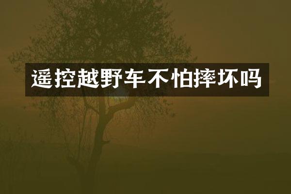 遥控越野车不怕摔坏吗