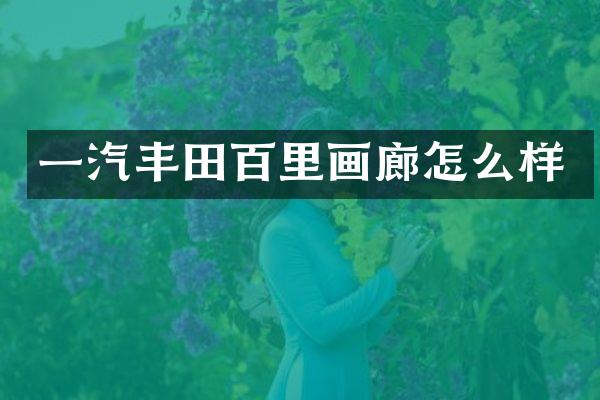 一汽丰田百里画廊怎么样