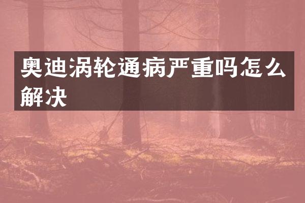 奥迪涡轮通病严重吗怎么解决