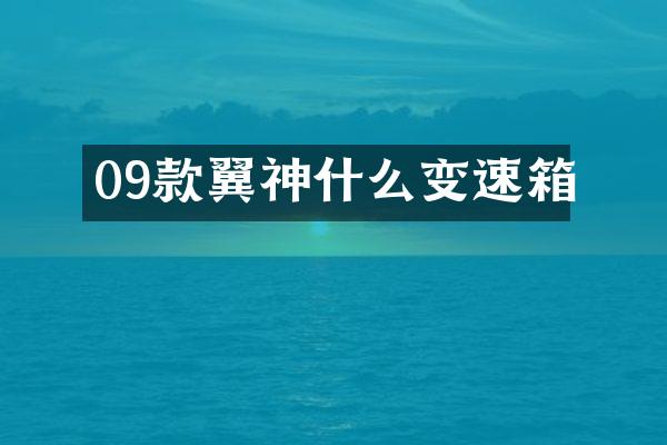 09款翼神什么变速箱
