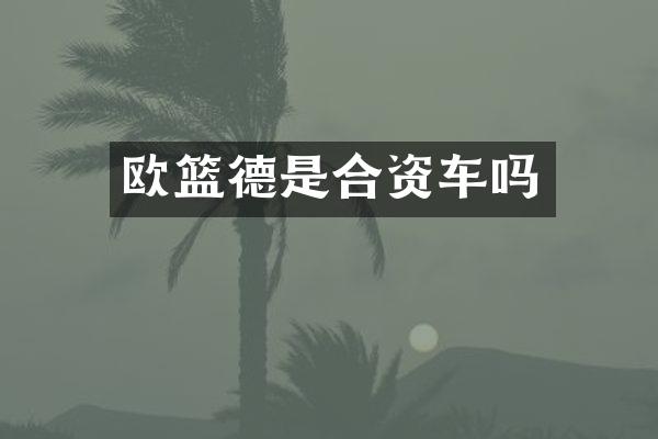 欧篮德是合资车吗