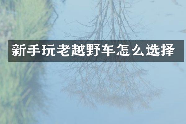 新手玩老越野车怎么选择