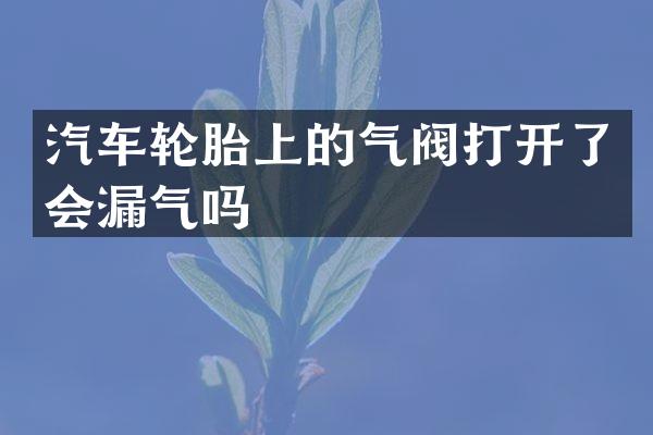 汽车轮胎上的气阀打开了会漏气吗