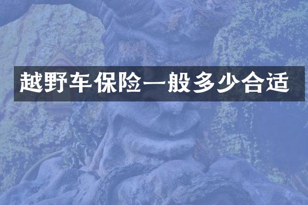 越野车保险一般多少合适