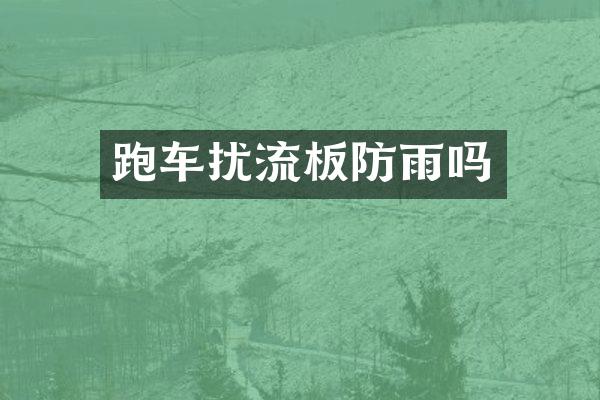 跑车扰流板防雨吗