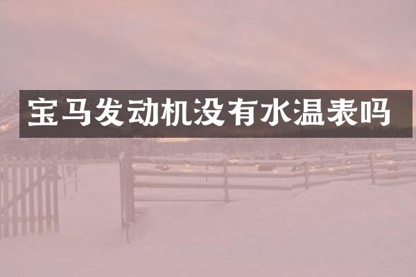 宝马发动机没有水温表吗