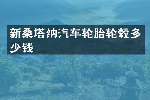 新桑塔纳汽车轮胎轮毂多少钱
