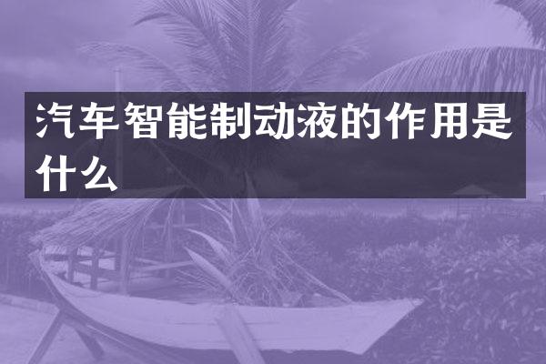 汽车智能制动液的作用是什么
