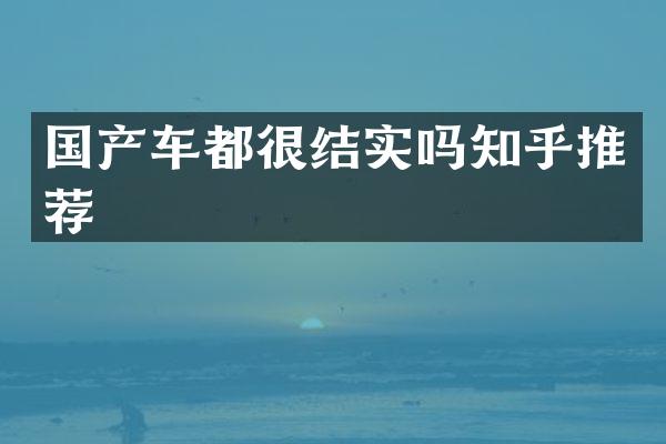 国产车都很结实吗知乎推荐