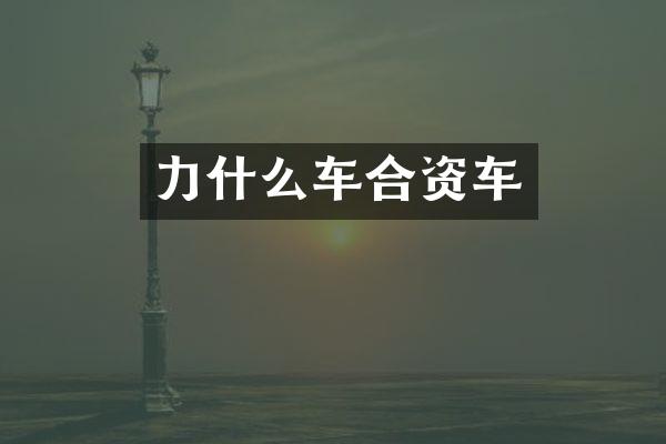 力什么车合资车