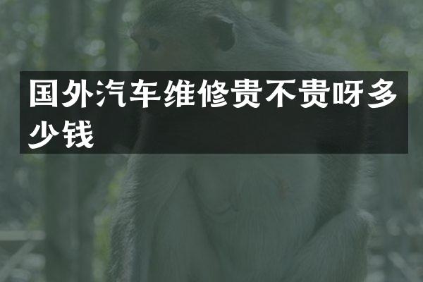 国外汽车维修贵不贵呀多少钱