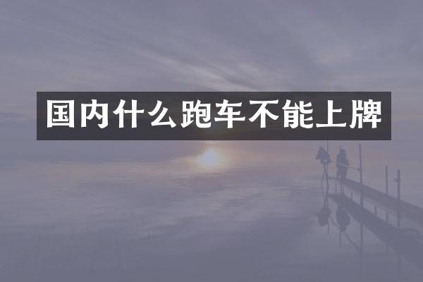 国内什么跑车不能上牌