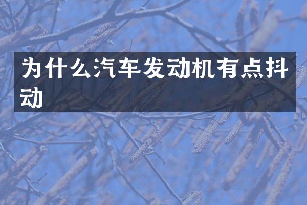 为什么汽车发动机有点抖动