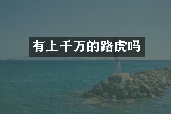 有上千万的路虎吗